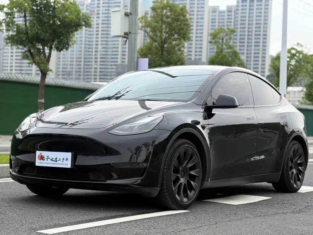 Tesla Model Y, 2021