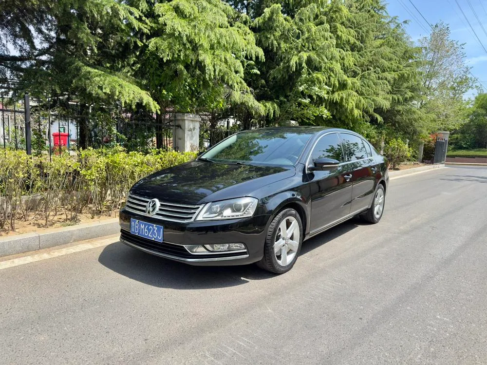 Volkswagen Magotan 1.8TSI Luxury Version, 2013 — фото 1