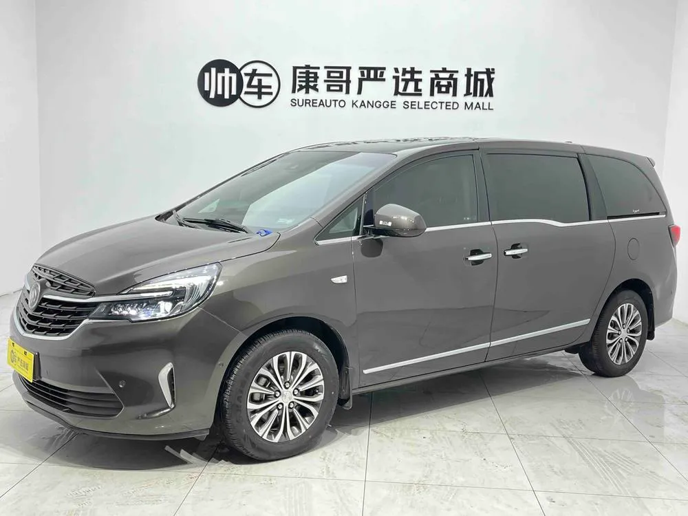 Buick GL8 652T Luxury Version, 2020 — фото 1