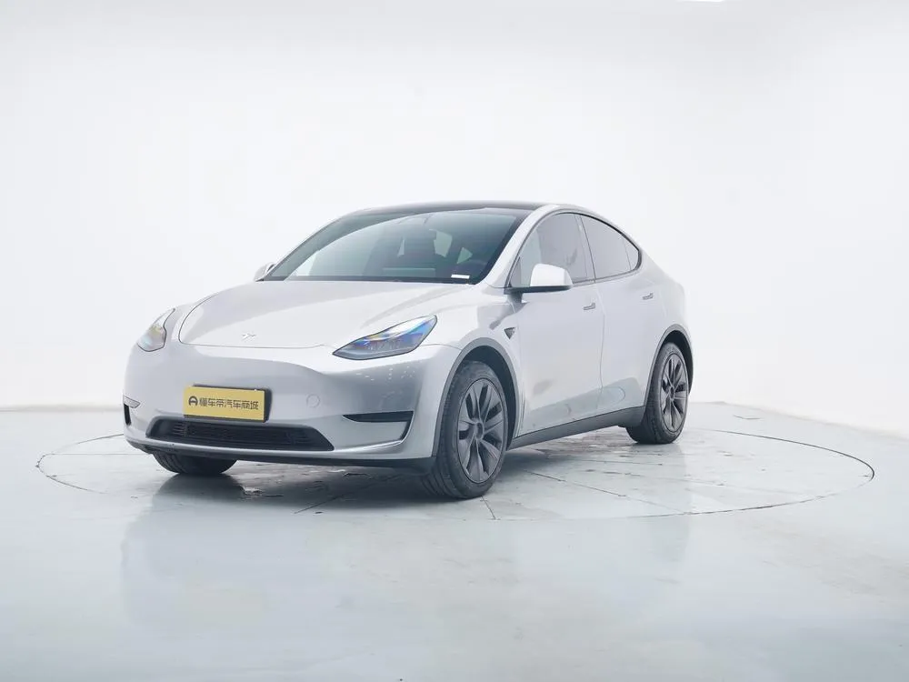 Tesla Model Y Edition, 2023 — фото 1