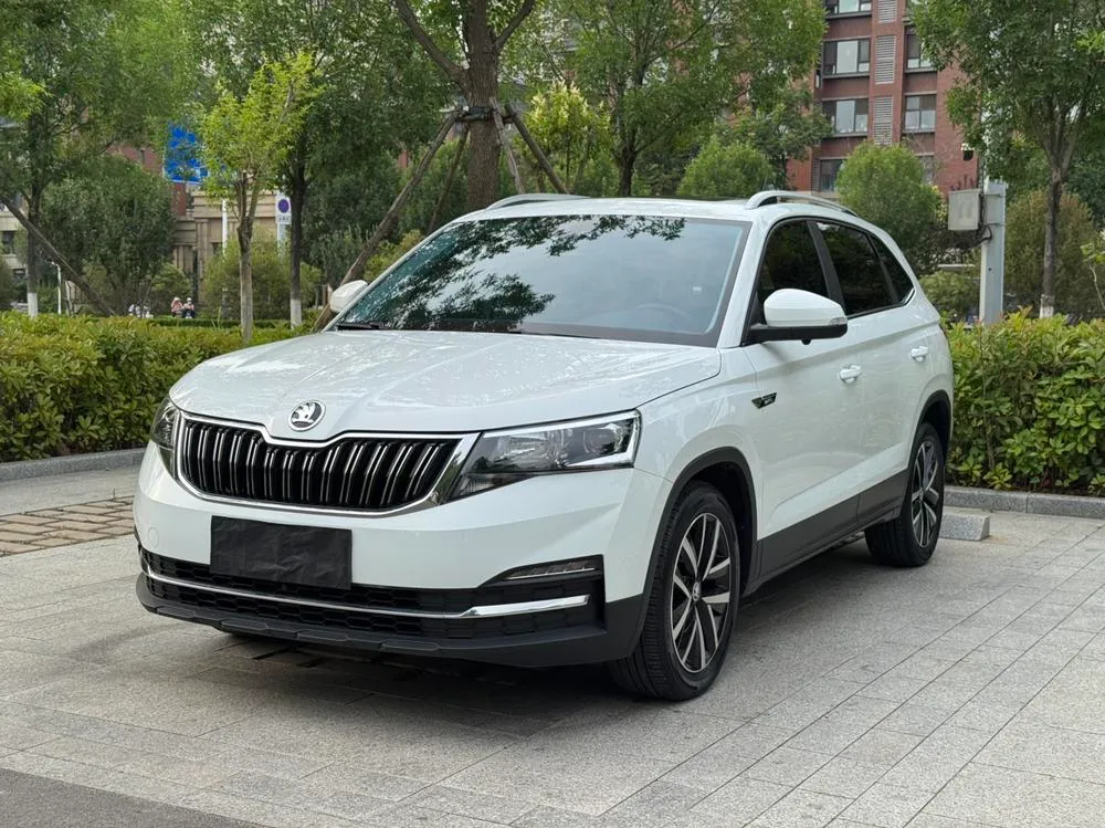Skoda Kamiq 1.5L Auto Edition, 2023 — фото 1