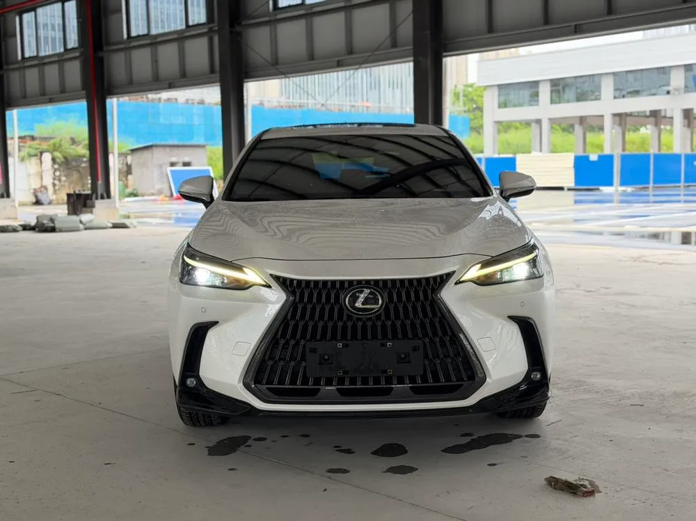 Lexus NX PHEV 400h+ Smooth Joy Edition, 2022 — фото 1