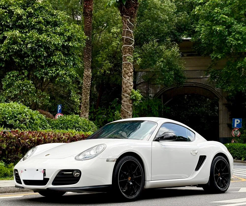Porsche Cayman, 2009