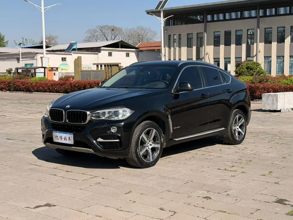 BMW X6 xDrive35i Luxury Version, 2015 — фото 1