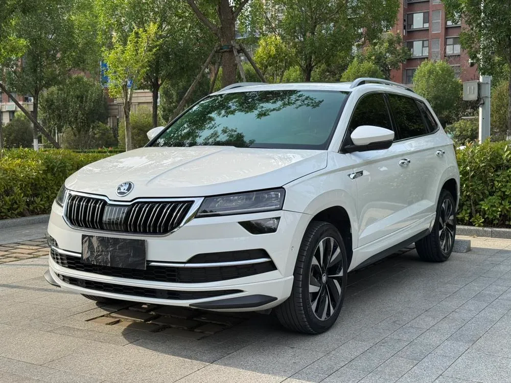 Skoda Karoq TSI280 версия, 2022 — фото 1