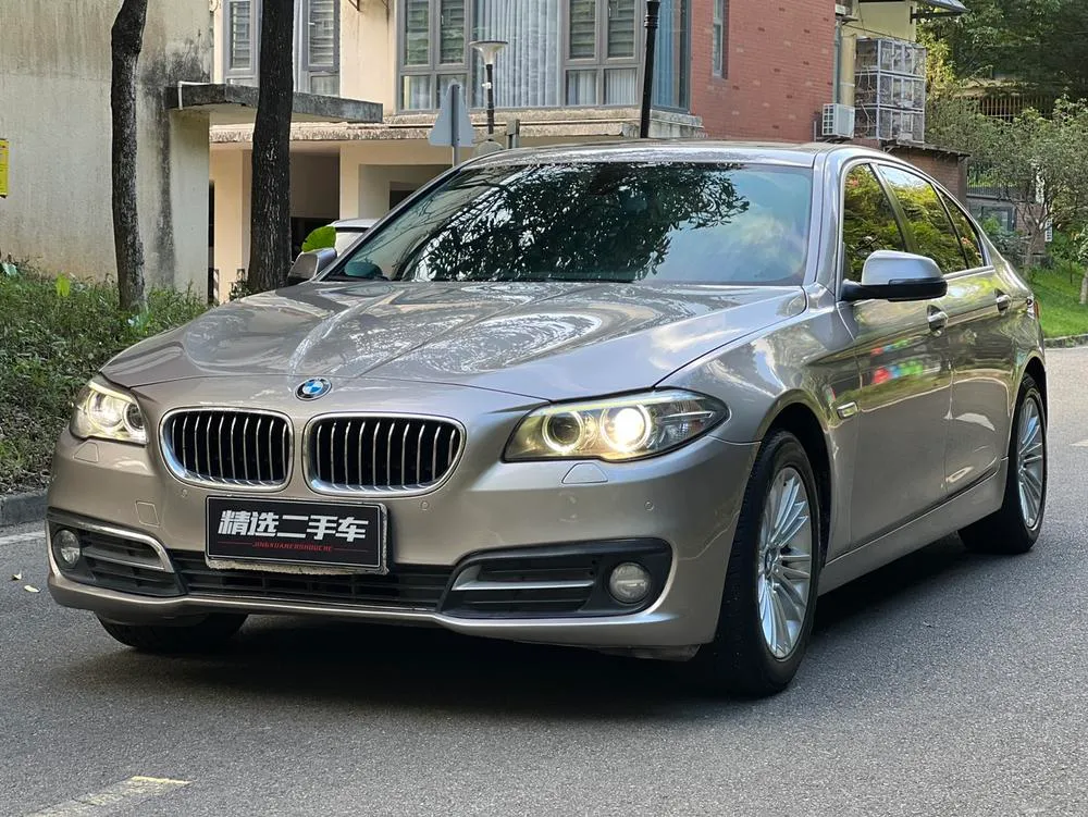 BMW 5-Series 525Li Leading Version, 2014 — фото 1