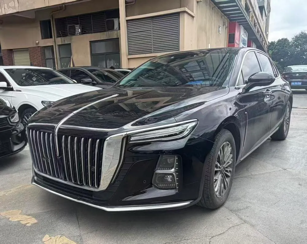 Hongqi H5, 2024
