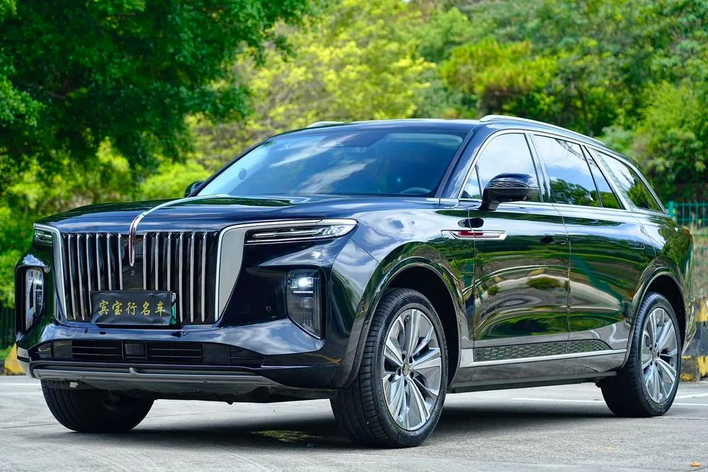 Hongqi E-HS9, 2022