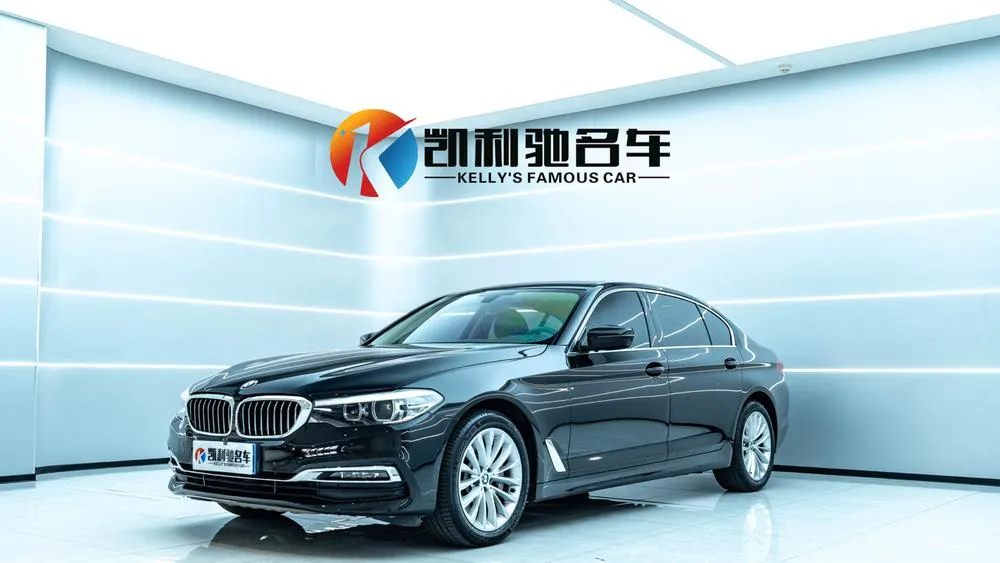 BMW 5-Series 530Li Leading Version Luxury, 2019 — фото 1