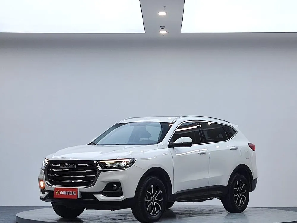Haval H6 Trendy Edition 1.5T Auto Edition, 2021 — фото 1