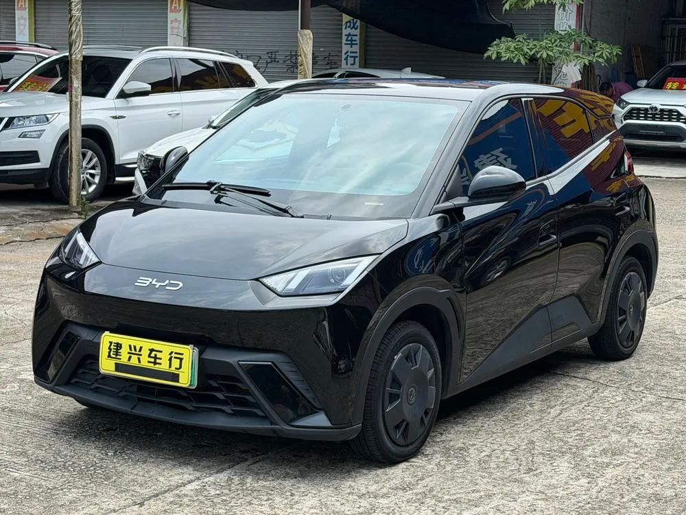 BYD Seagull, 2024