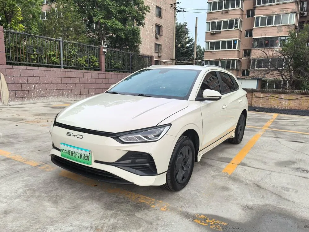 BYD e2 Luxury Version, 2023 — фото 1