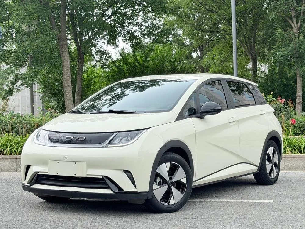 BYD Dolphin, 2023