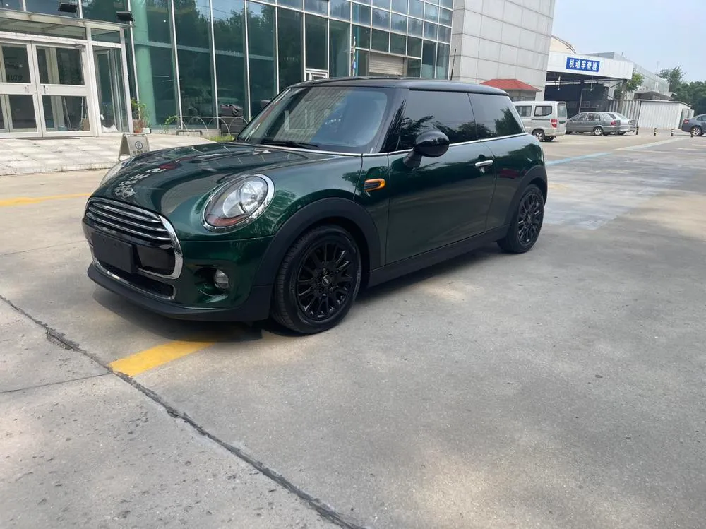 MINI MINI, 2016