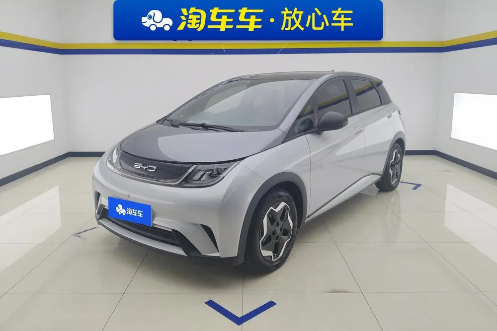 BYD Dolphin, 2021