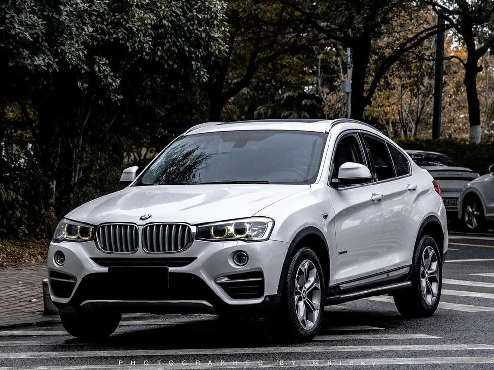 BMW X4 xDrive20i X, 2014 — фото 1