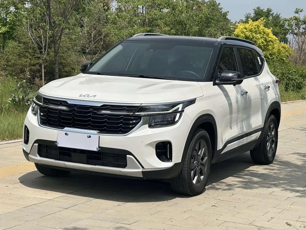 Kia Seltos 1.5L IVT Luxury Edition, 2023 — фото 1