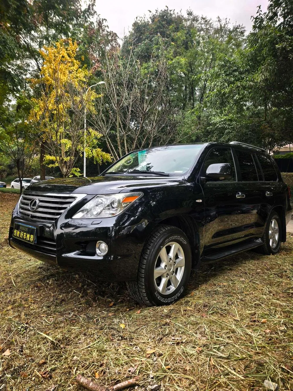 Lexus LX, 2012