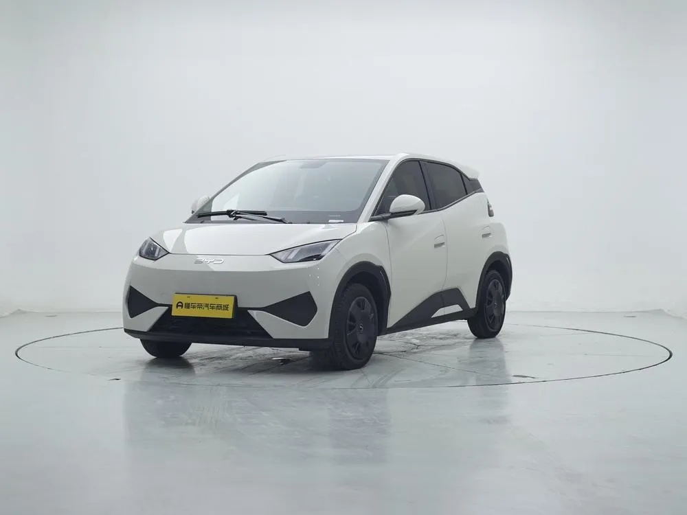 BYD Seagull, 2025