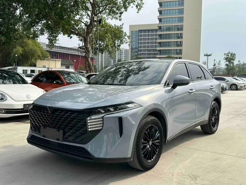 Venucia Big V, 2022