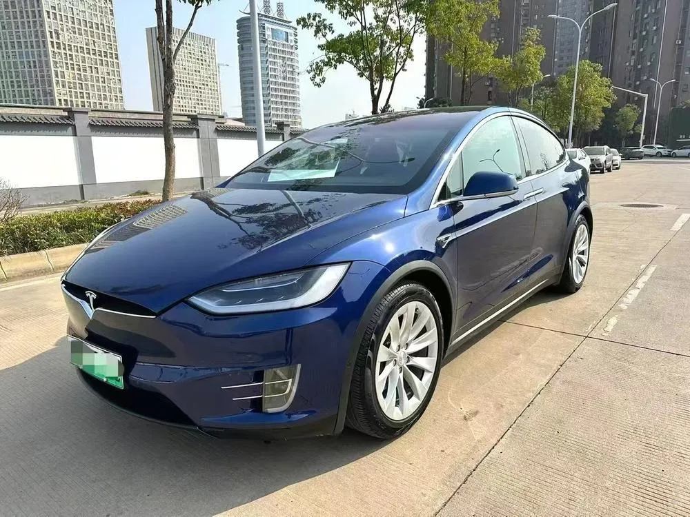 Tesla Model X 100D Long Range Edition, 2017 — фото 1