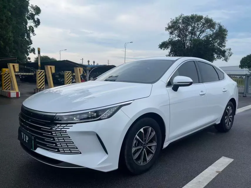 BYD Destroyer 05, 2024