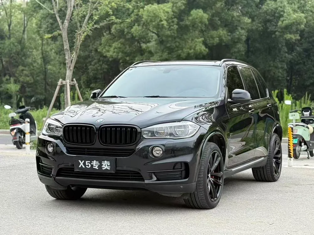 BMW X5 (Import) 2.0T Auto 4WD 5 Seater Parallel Import, 2016 — фото 1