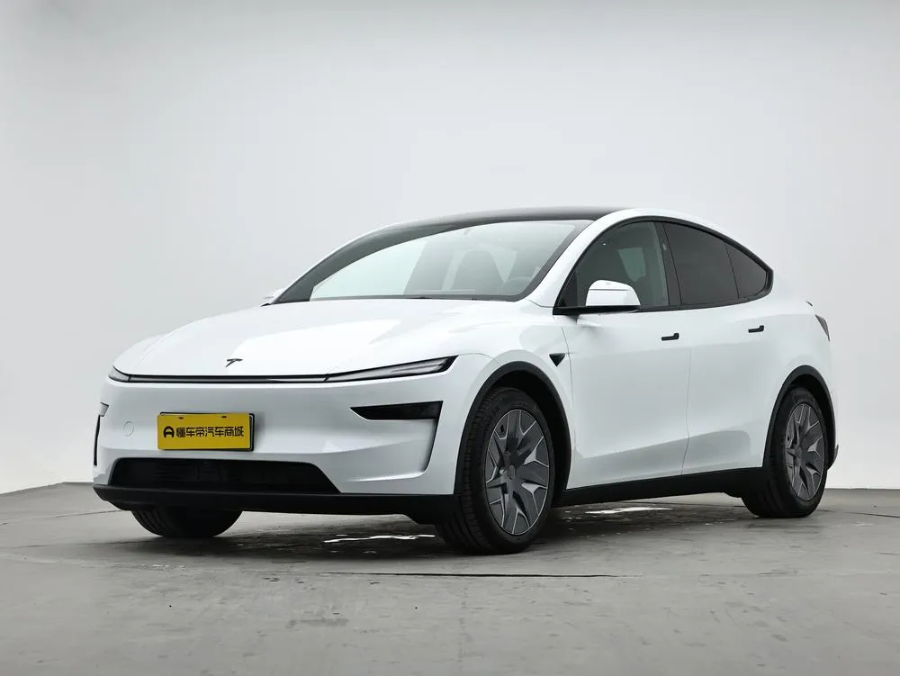 Tesla Model Y L Standard Edition, 2026 — фото 1
