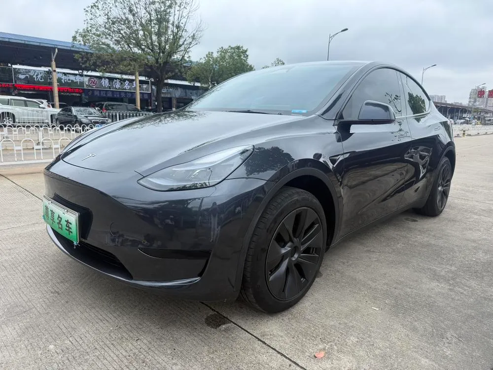 Tesla Model Y Edition, 2024 — фото 1