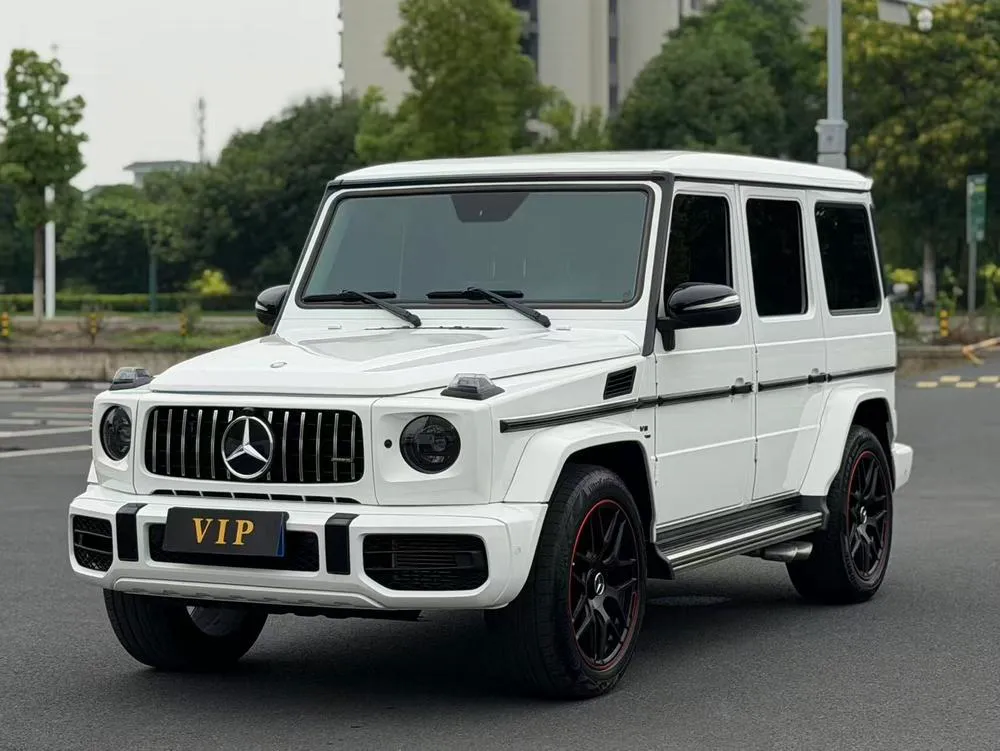 Mercedes-Benz G-Class G 500, 2016 — фото 1