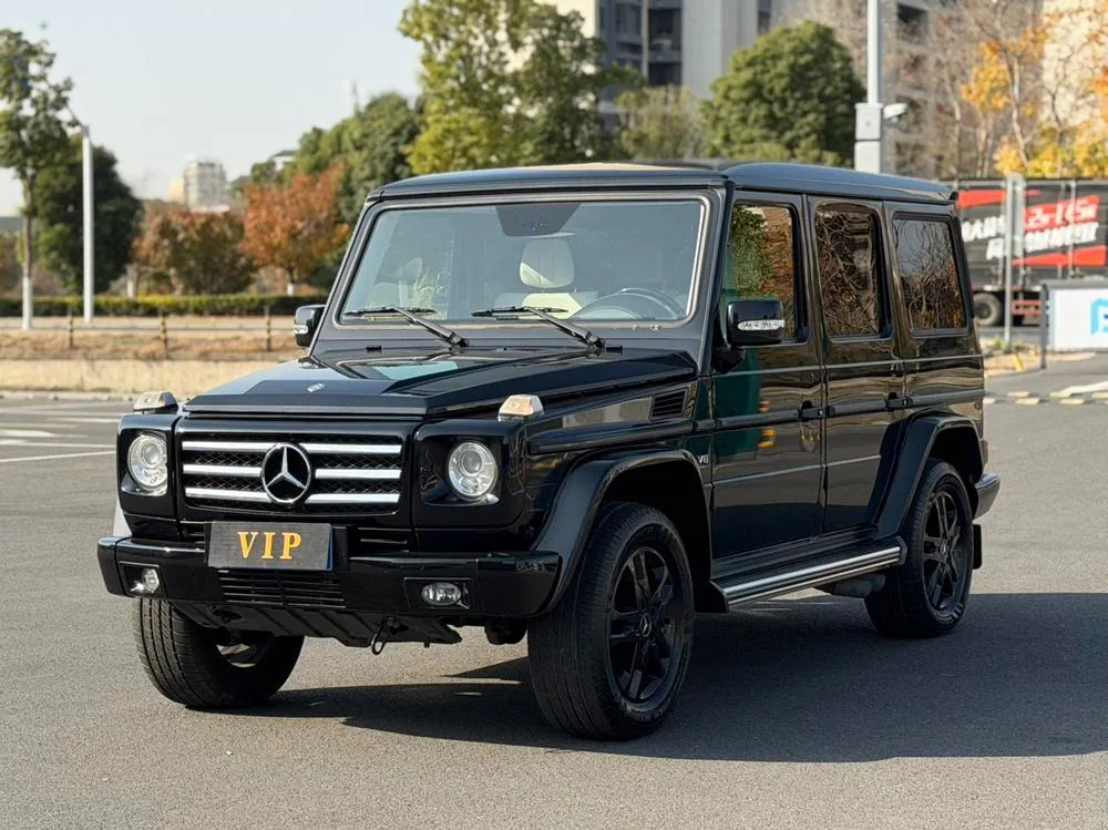 Mercedes-Benz G-Class, 2010