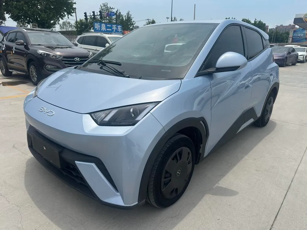 BYD Seagull, 2024