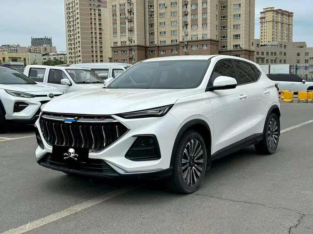 Changan Oshan X5, 2021