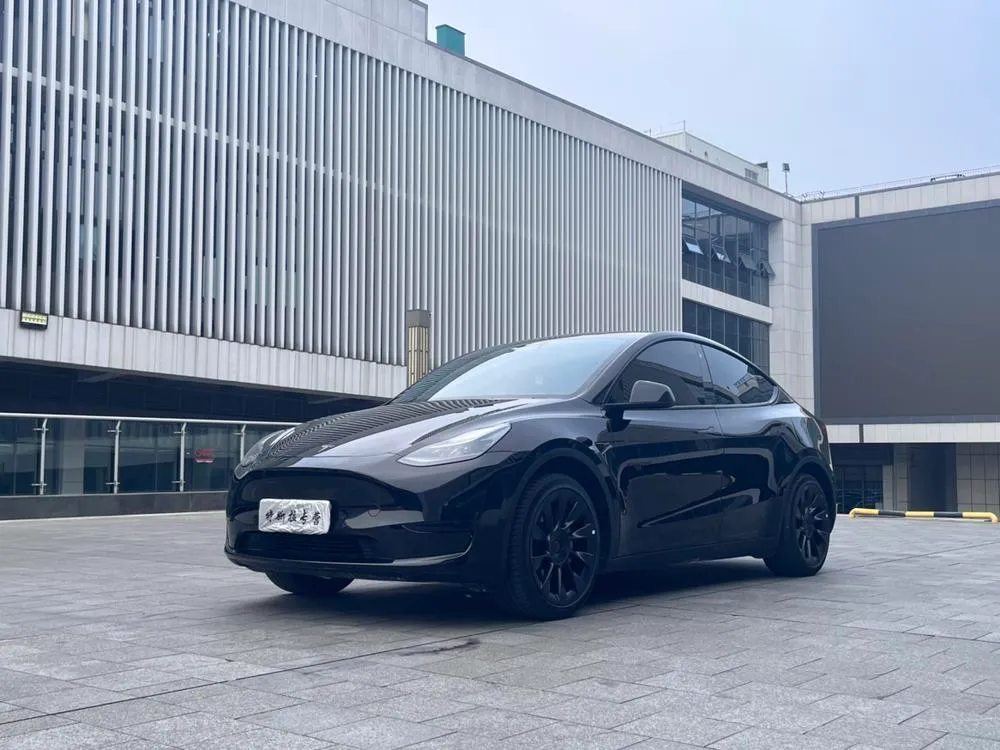 Tesla Model Y Edition, 2024 — фото 1