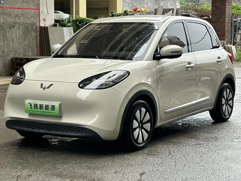 Wuling Bingo, 2023