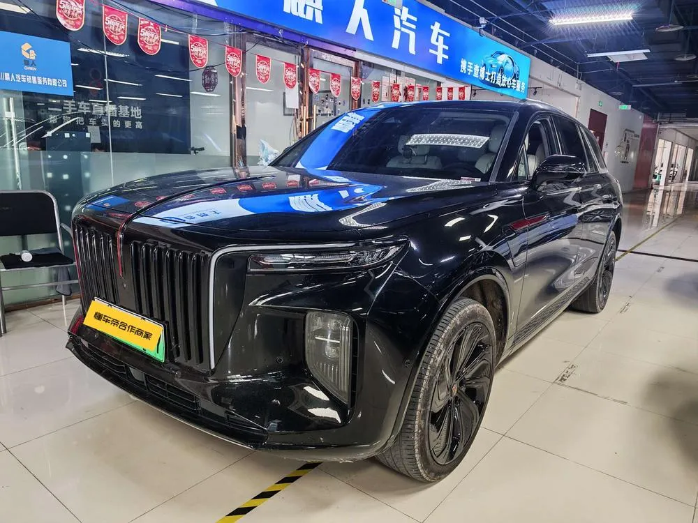 Hongqi E-HS9, 2020