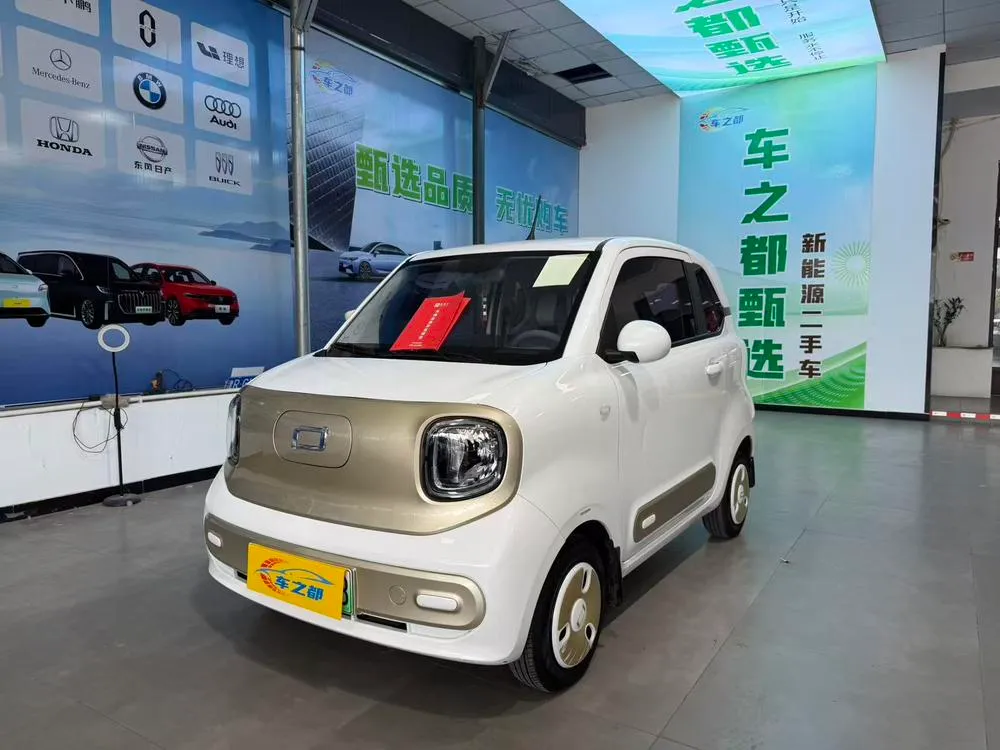 Besturn Bestune Pony, 2024