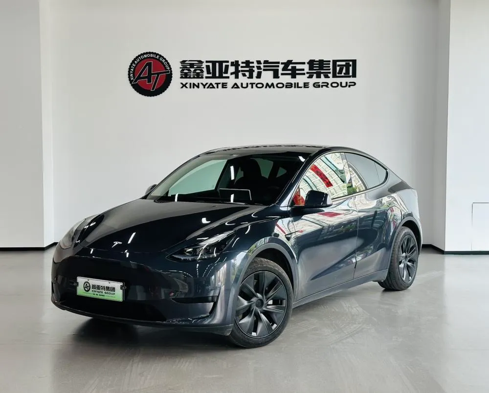 Tesla Model Y Edition, 2024 — фото 1