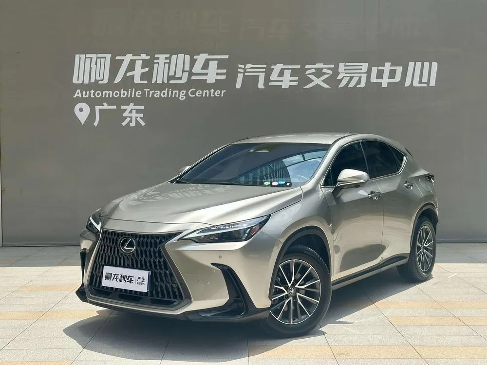 Lexus NX, 2024