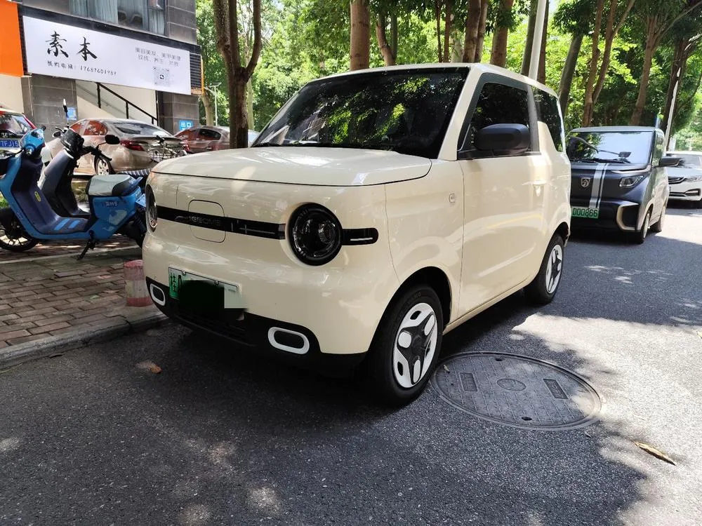 Galaxy Panda, 2025
