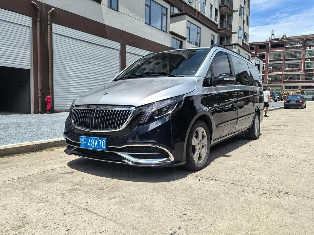 Mercedes-Benz Viano 2.5L Luxury Edition, 2010 — фото 1