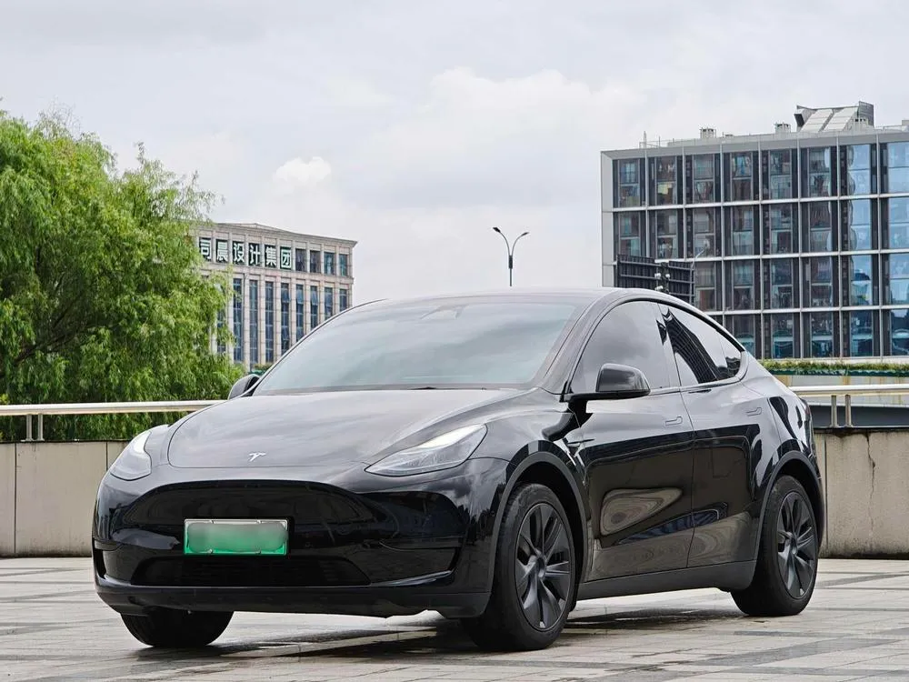 Tesla Model Y Edition, 2023 — фото 1
