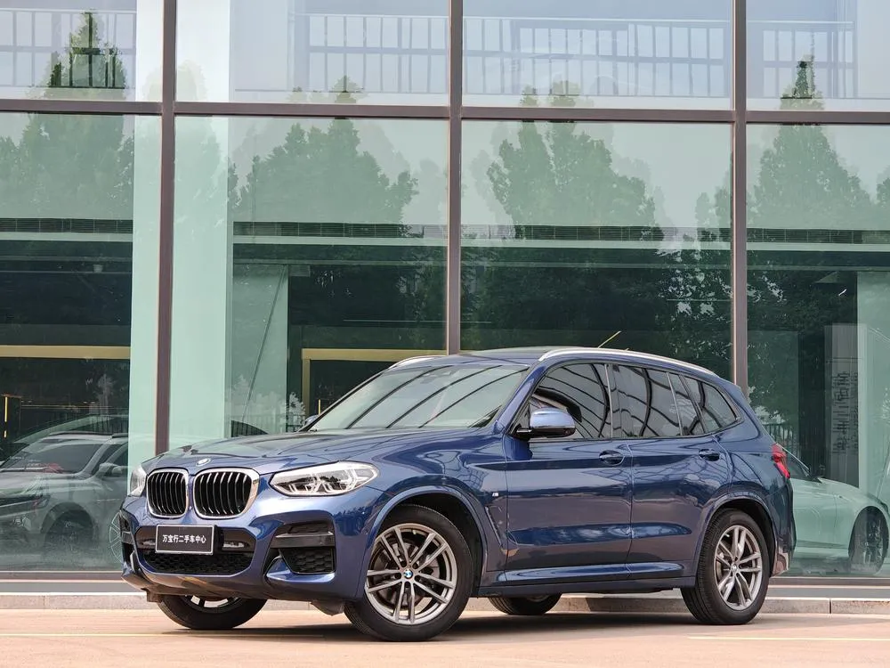 BMW X3 xDrive25i M Sport, 2019 — фото 1
