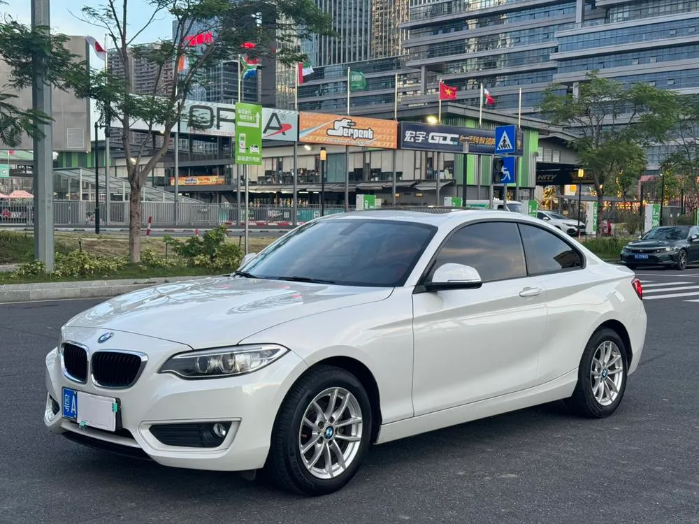 BMW 2-Series (Import) 218i, 2015 — фото 1
