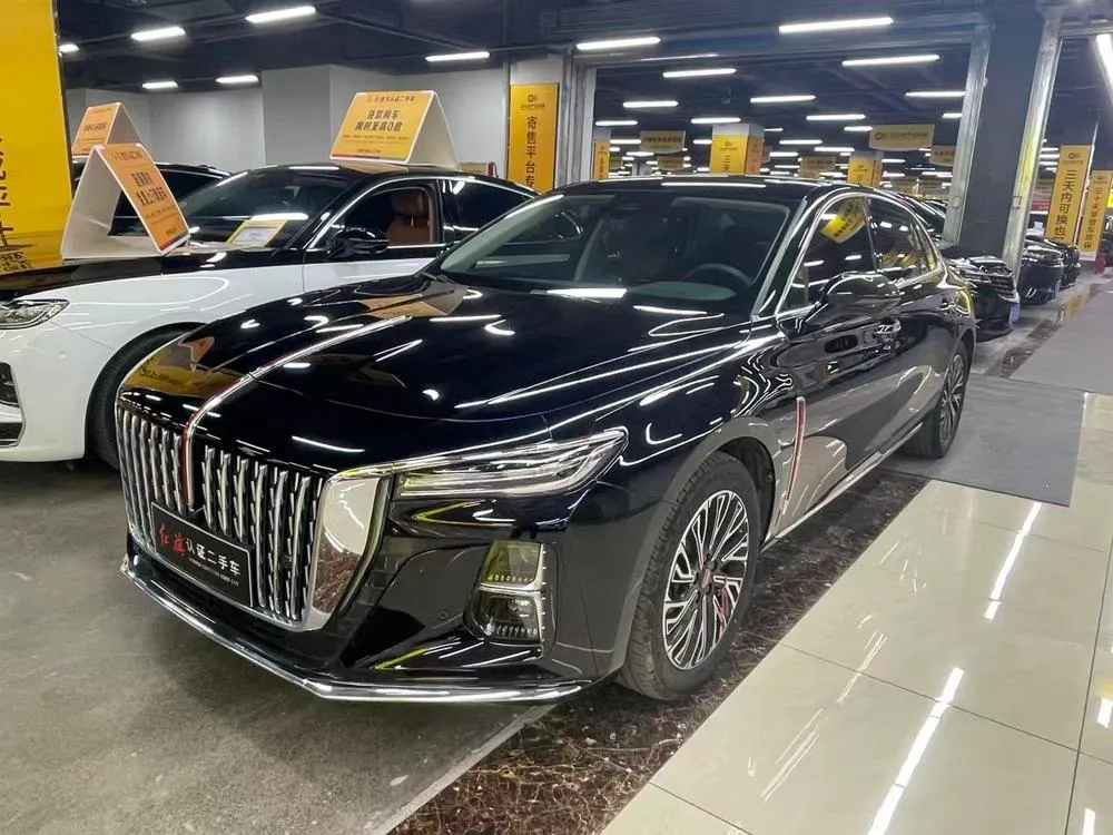 Hongqi H5, 2024