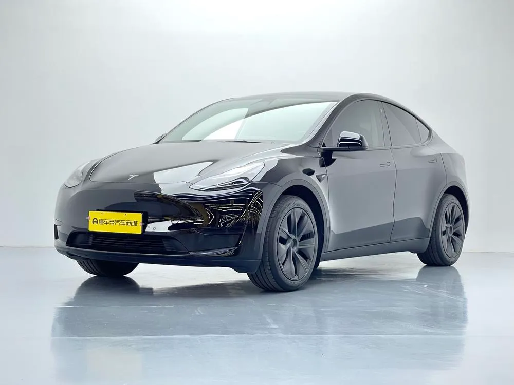 Tesla Model Y Edition, 2023 — фото 1