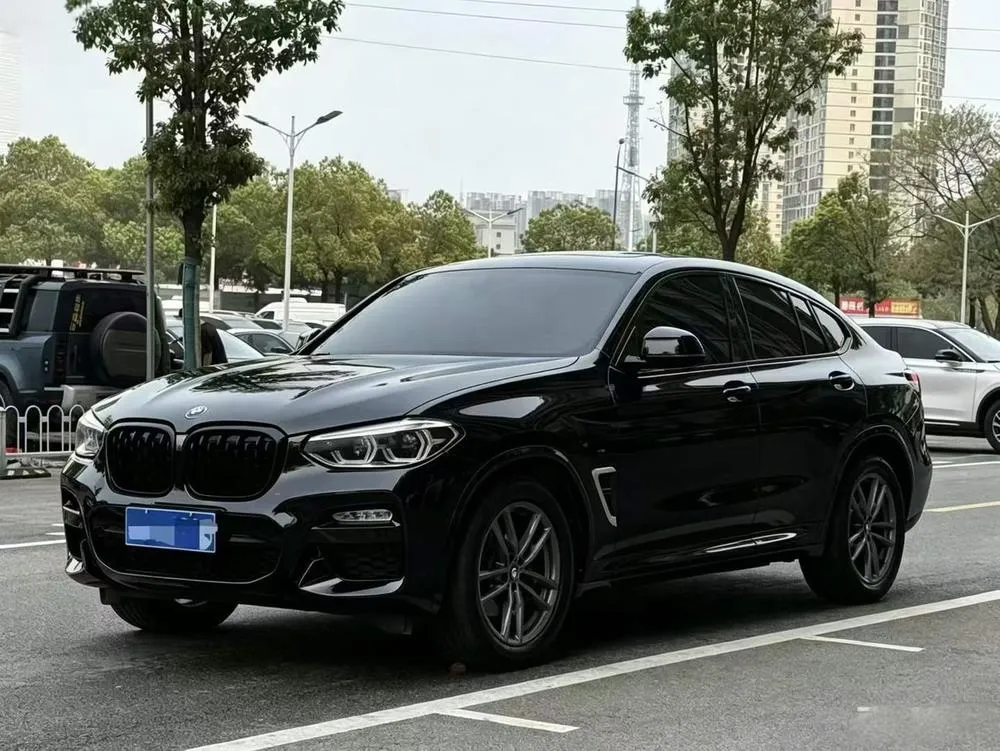 BMW X4 xDrive25i M Sport, 2019 — фото 1