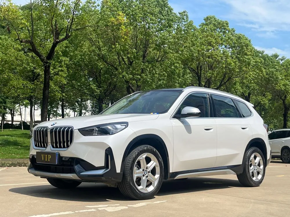 BMW X1 sDrive20Li X, 2023 — фото 1