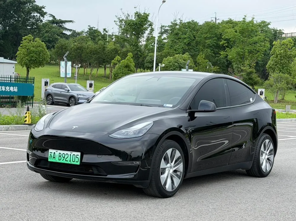 Tesla Model Y Long Range AWD Edition 3D3/3D7, 2021 — фото 1