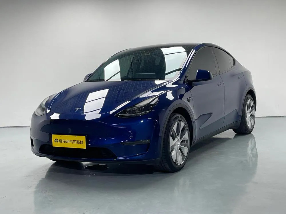 Tesla Model Y Standard Range Edition, 2021 — фото 1
